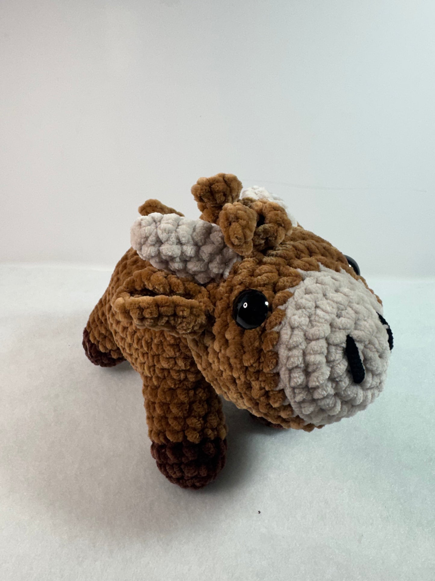 Standing Hattie Highland Cow