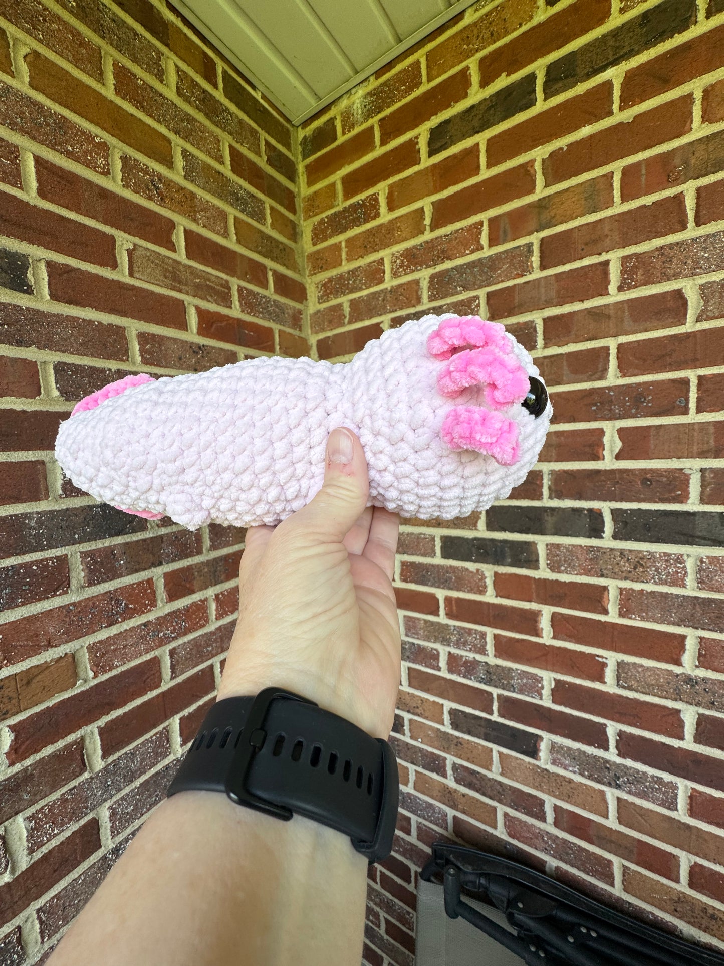 Large Axolotl