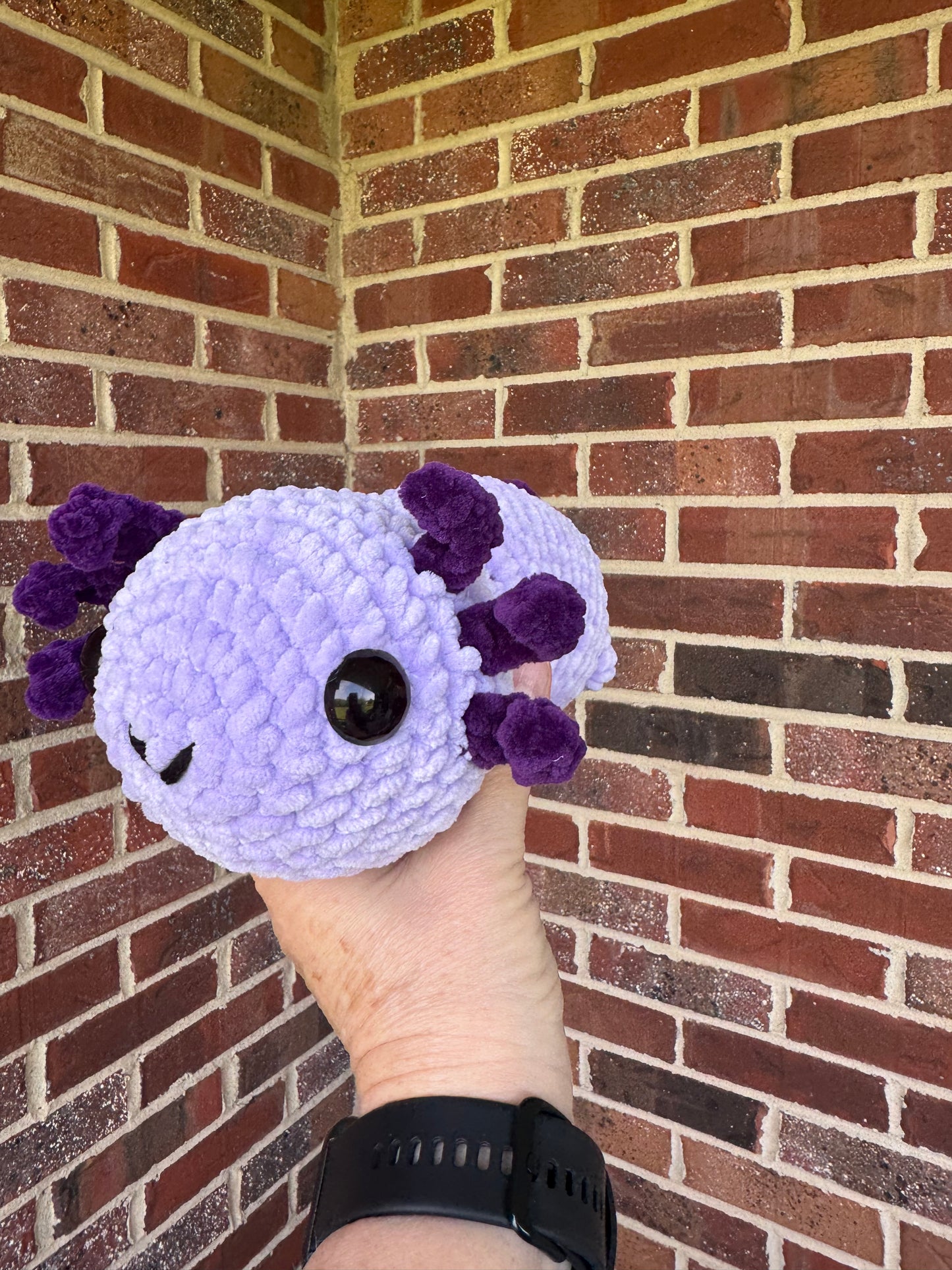 Large Axolotl