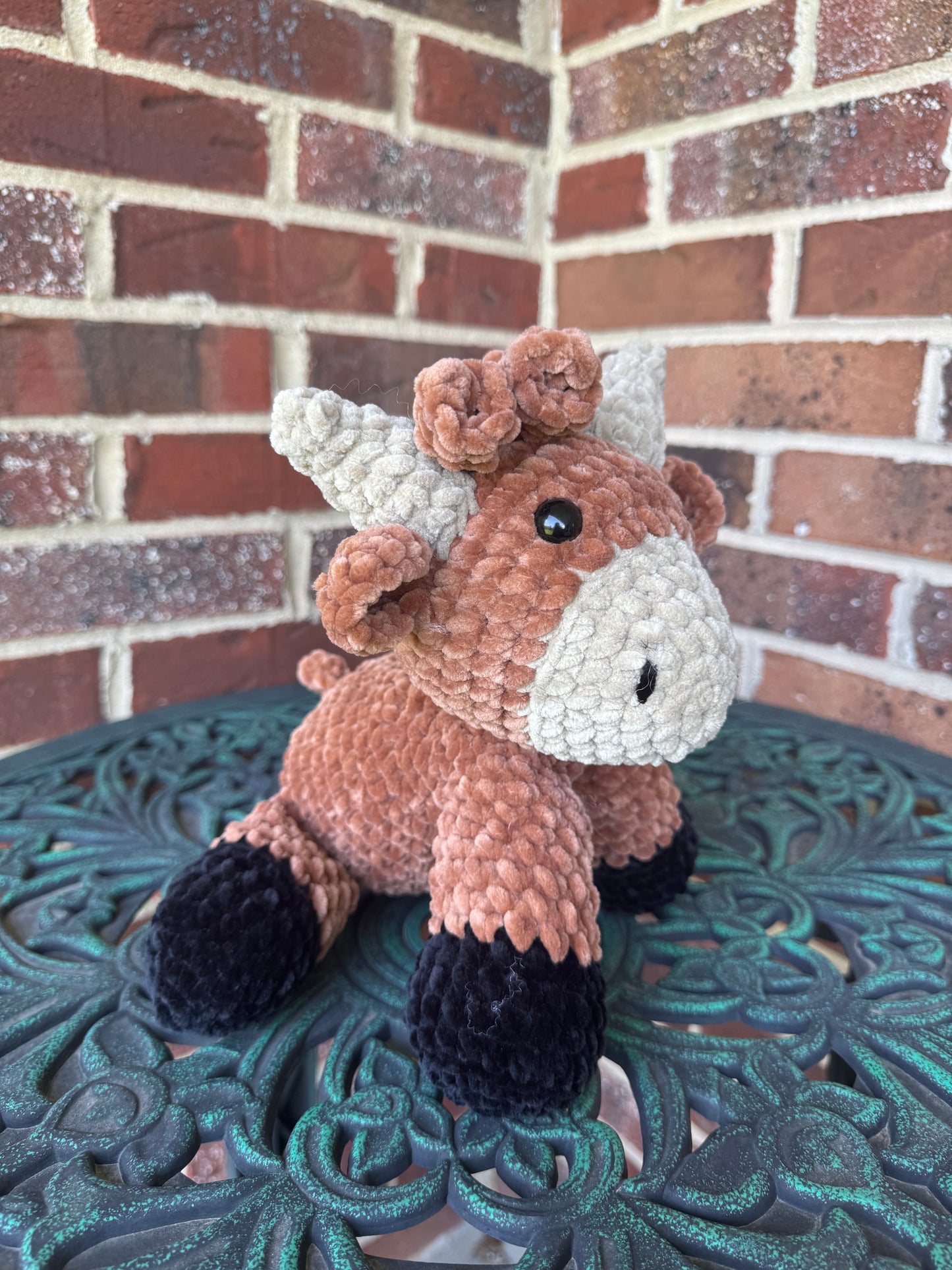 Highland Cow
