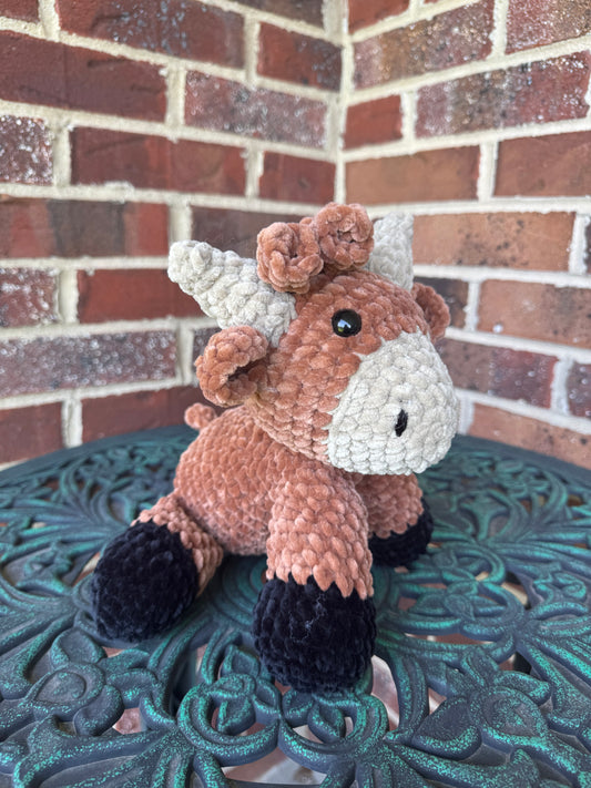 Highland Cow