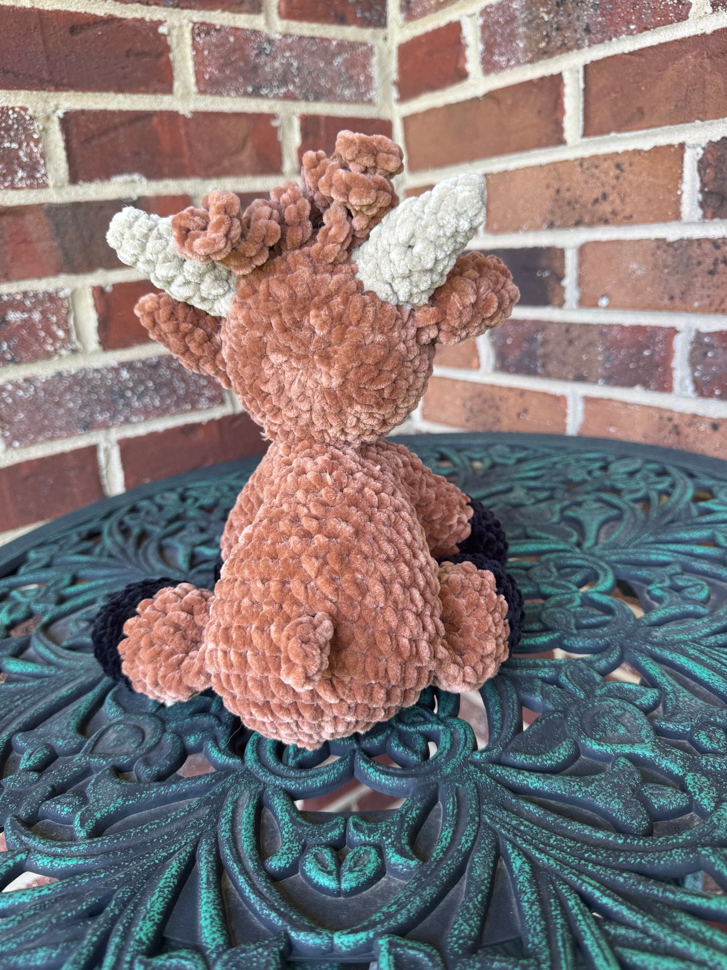Highland Cow