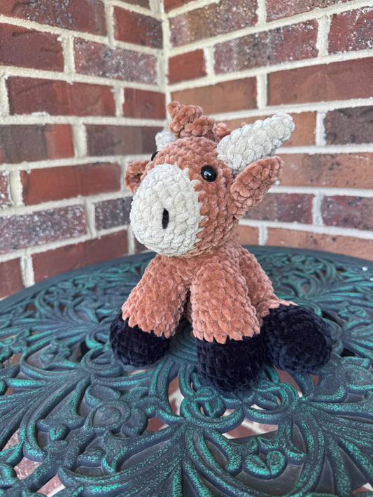 Highland Cow