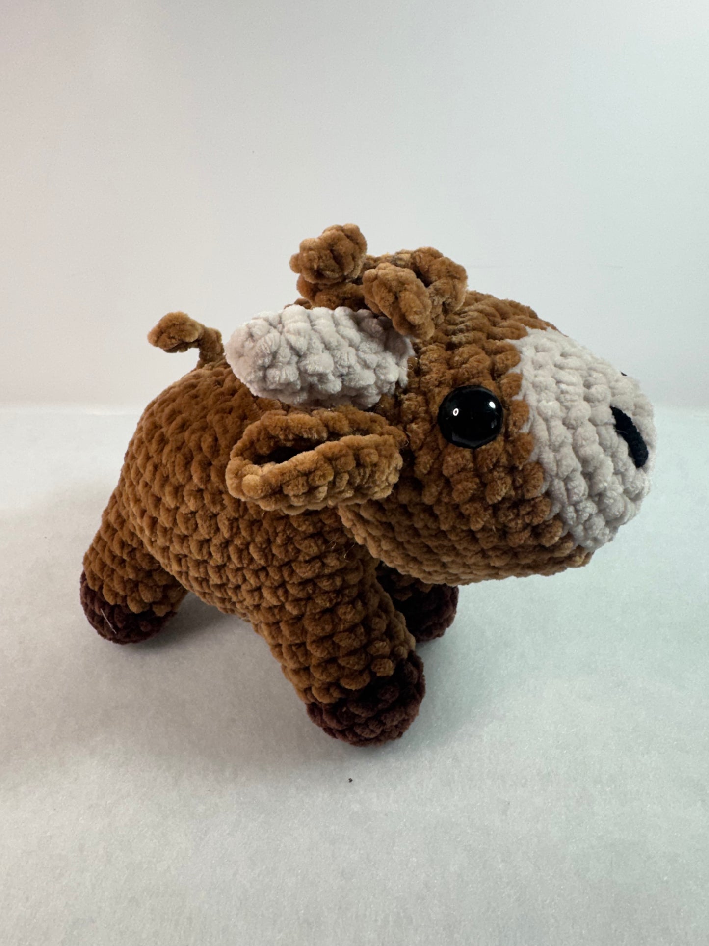 Standing Hattie Highland Cow