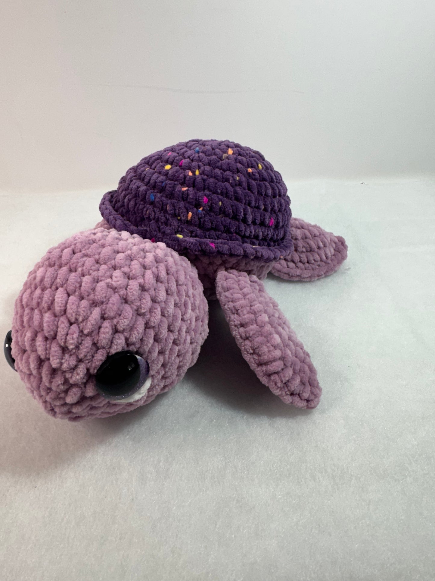 Sea Turtle