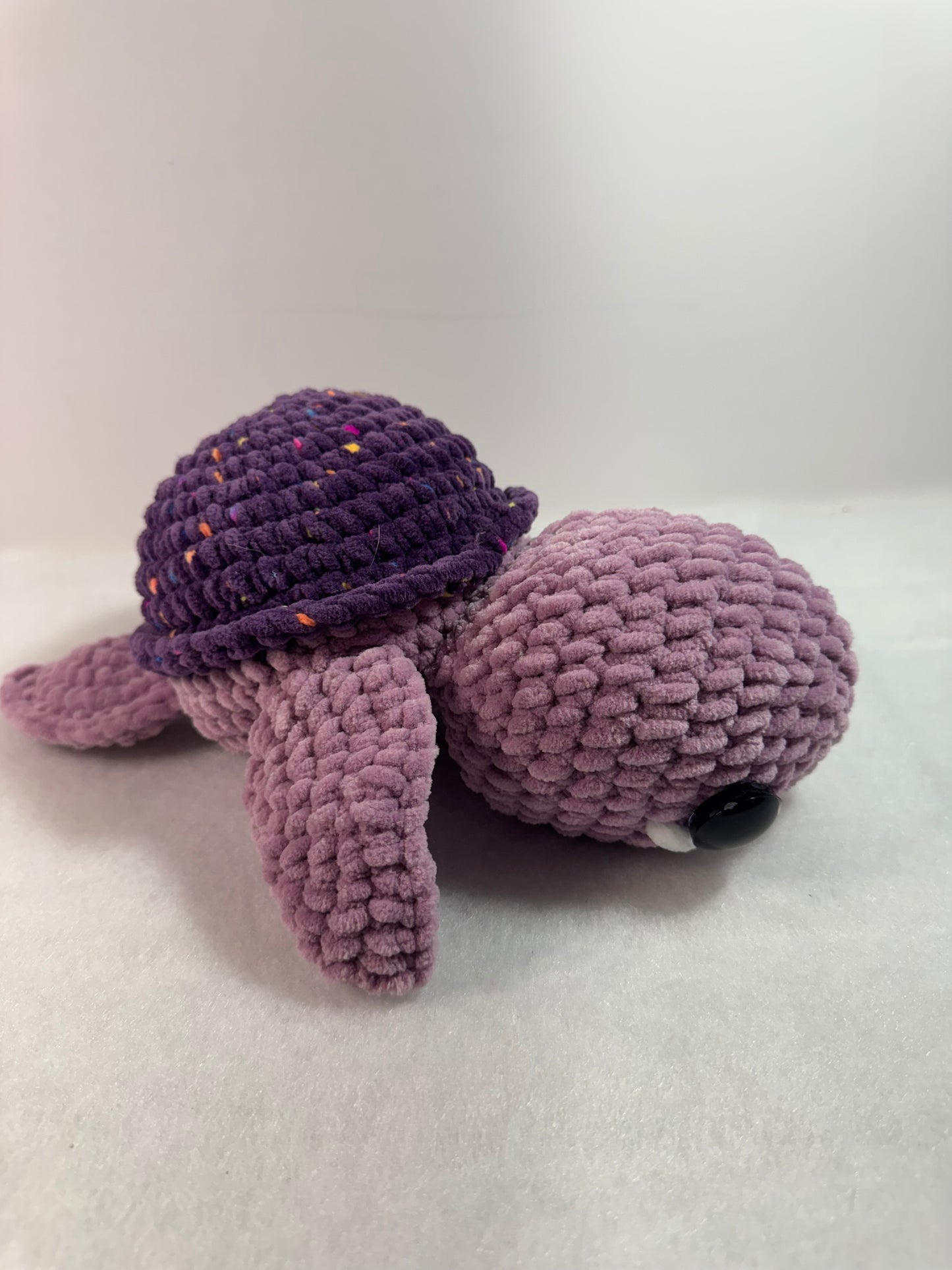 Sea Turtle