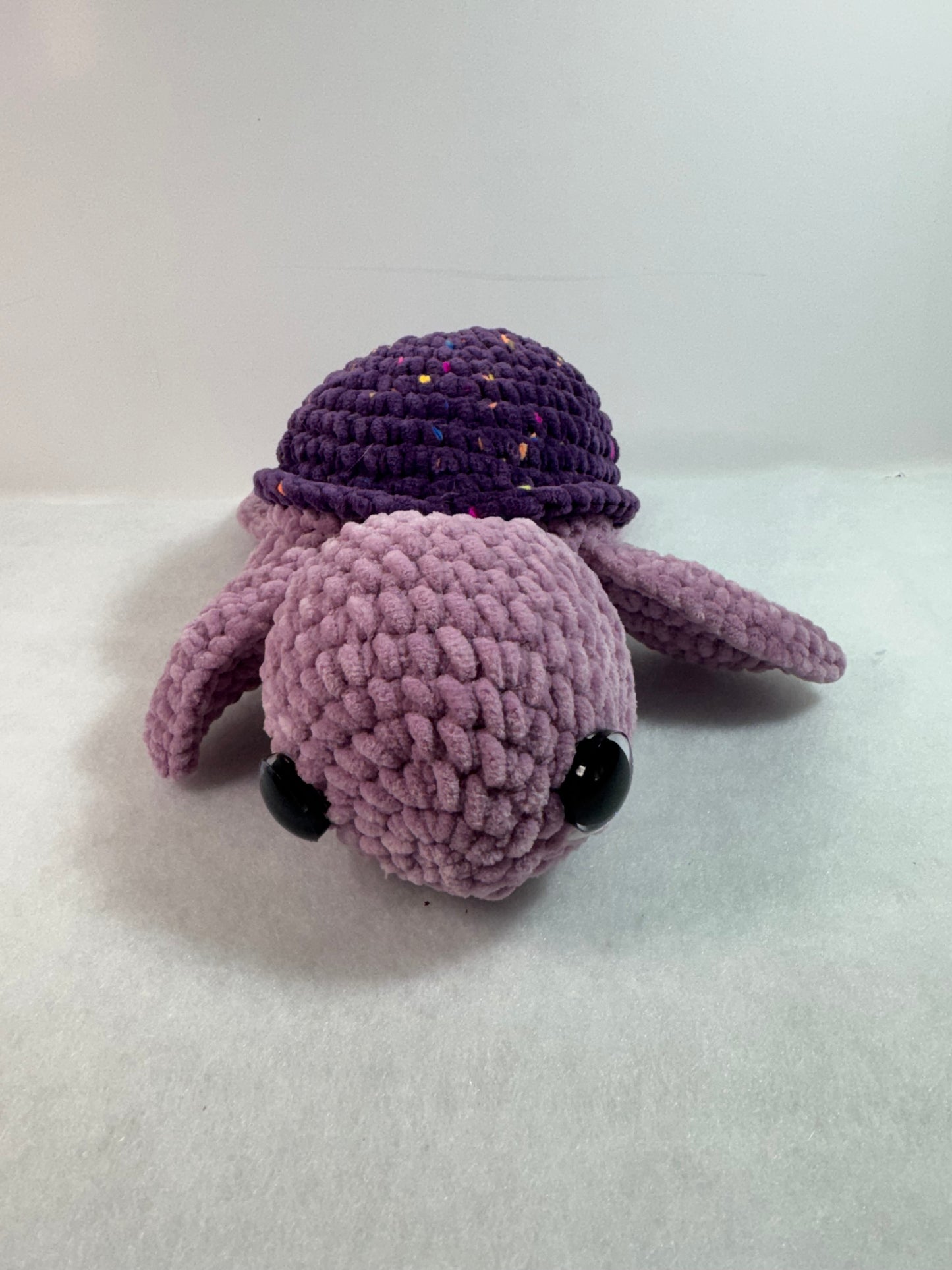 Sea Turtle