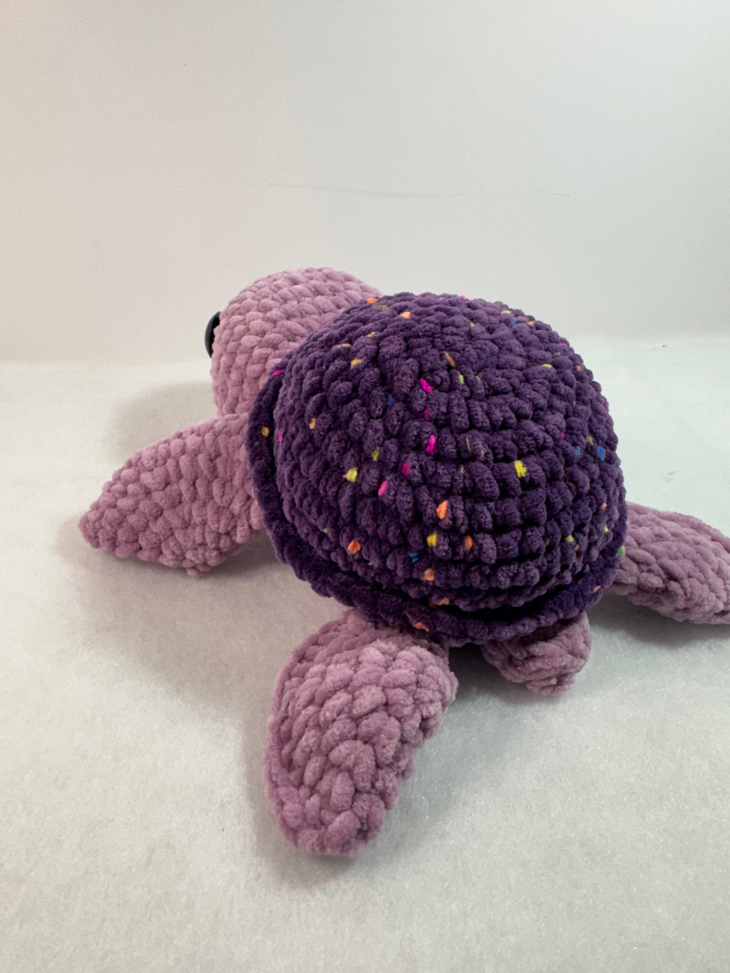 Sea Turtle