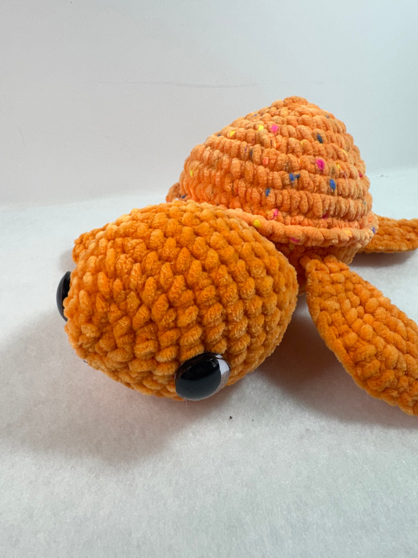 Sea Turtle