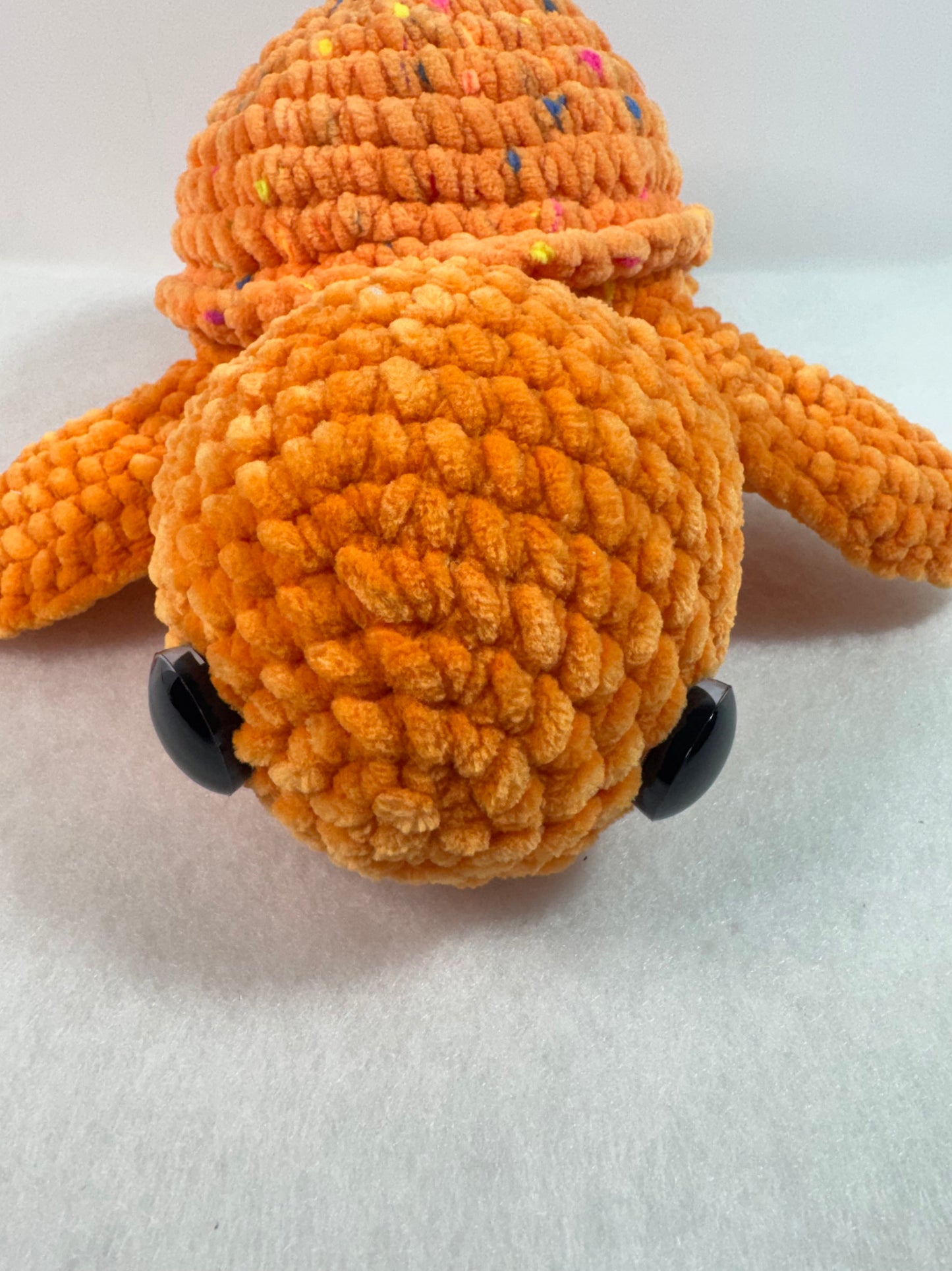 Sea Turtle