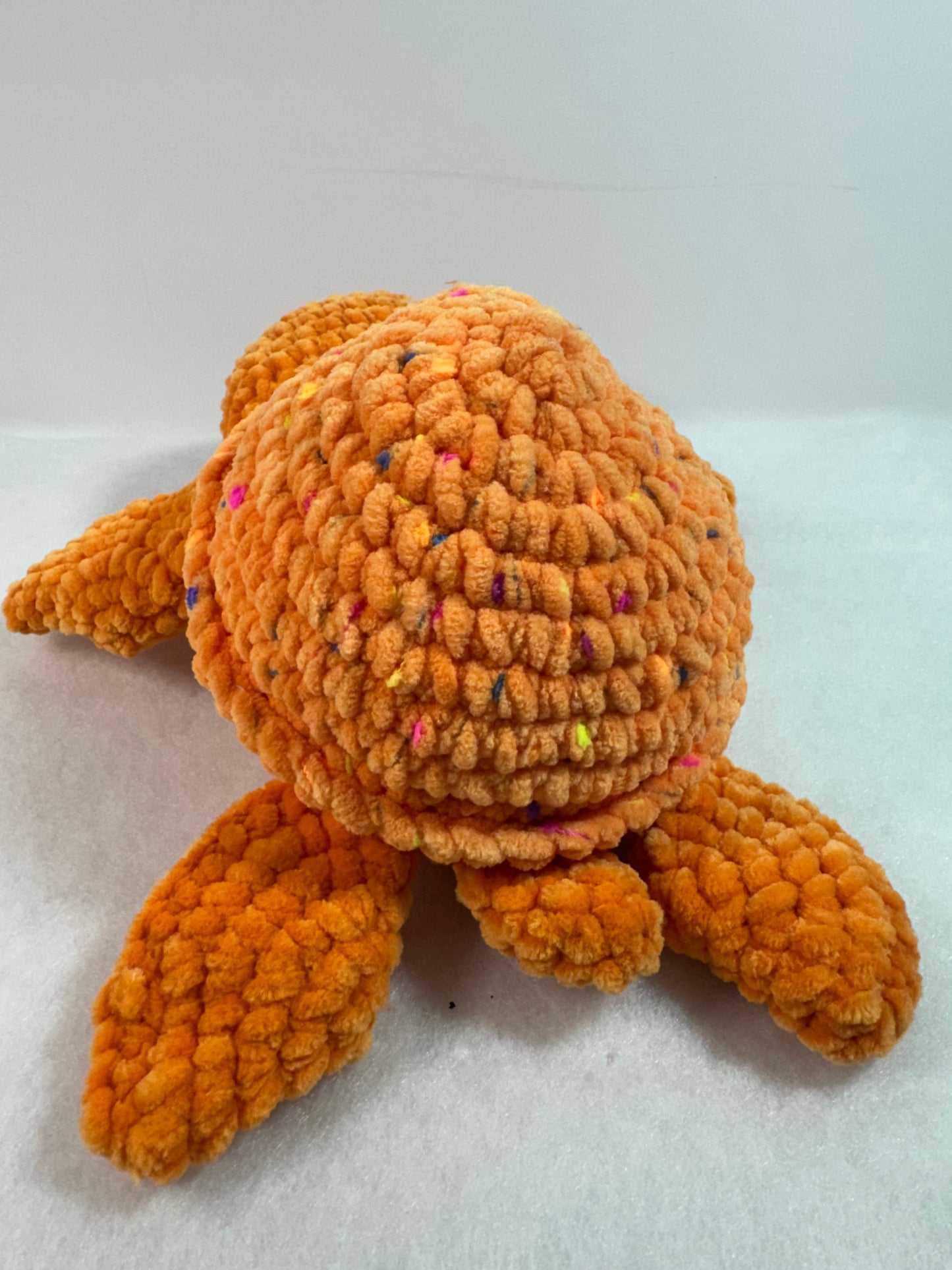 Sea Turtle